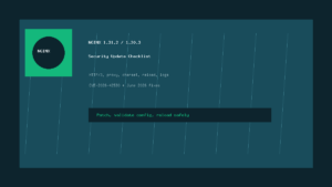 NGINX 1.31.2 and 1.30.3 security update checklist for HTTP/3, proxy, charset, config validation, reloads, logs, and CDN verification